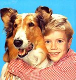 Quelle: Promotionfoto Jon Provost mit Lassie